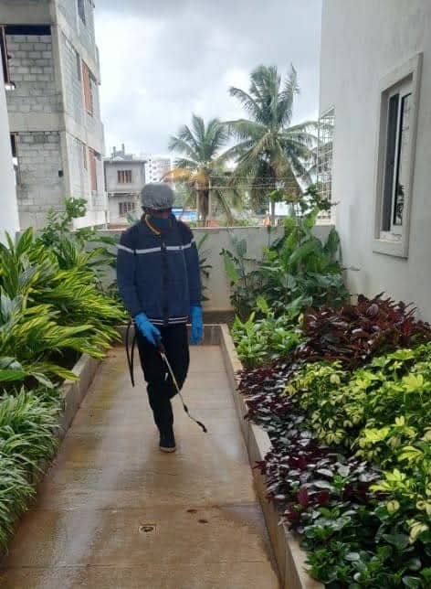 Gallery Rodent control technicians placing bait stations
