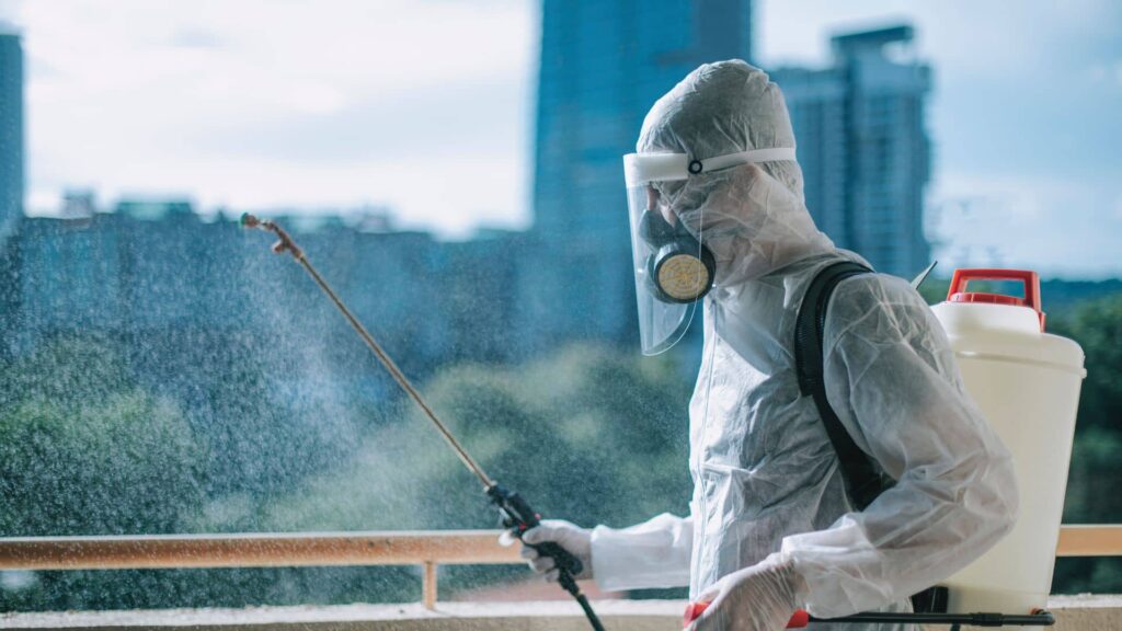 Pest control trained professionals inspecting home