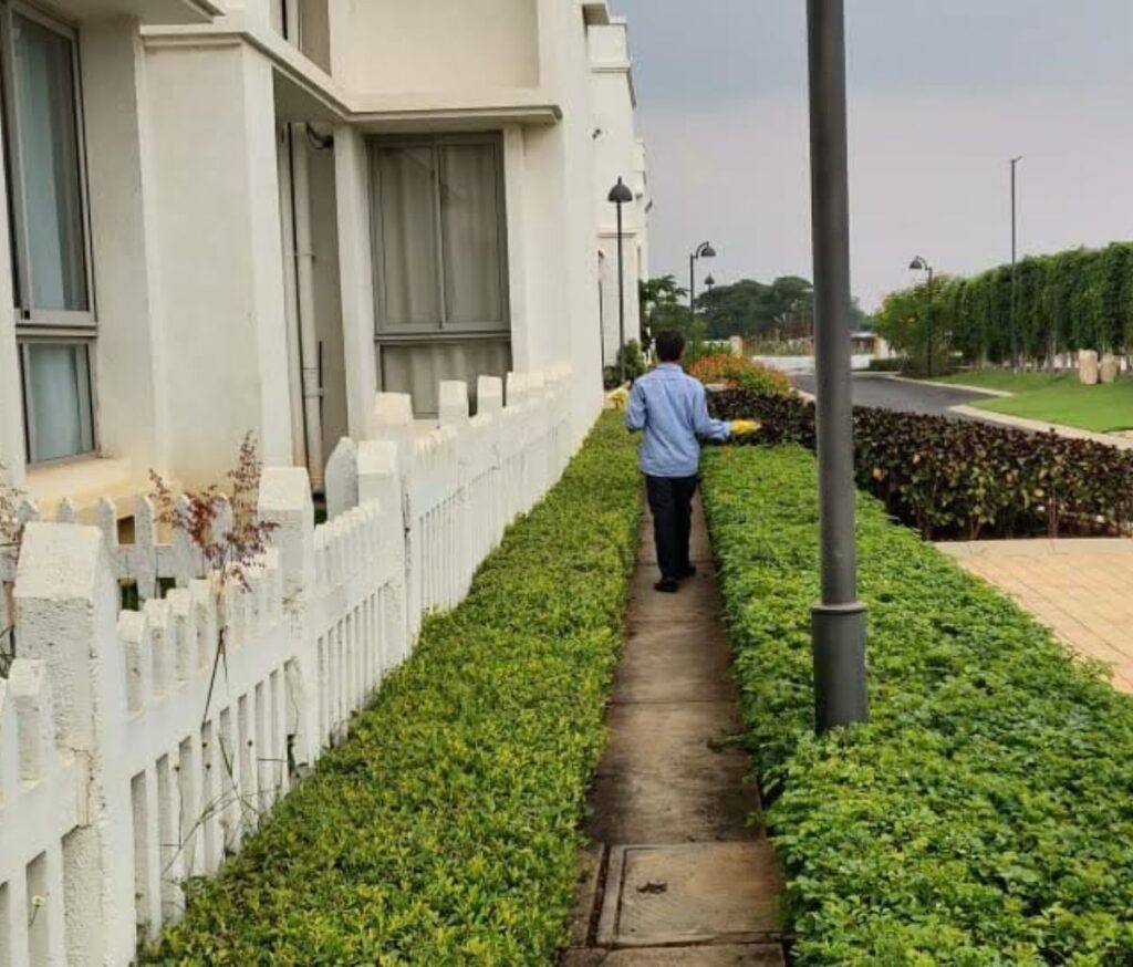 Gallery general pest treatment