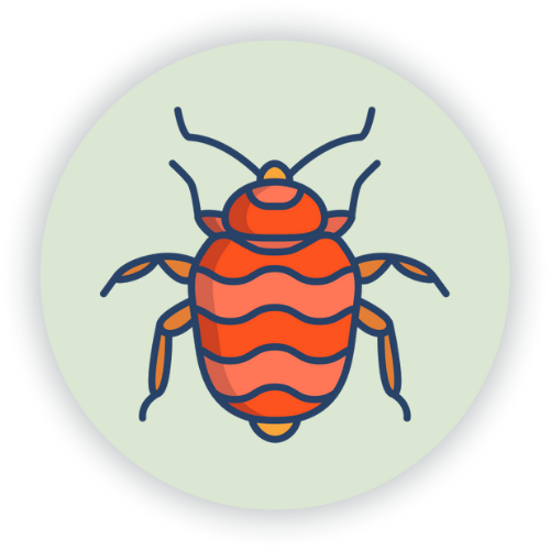 Home pcs services bedbug