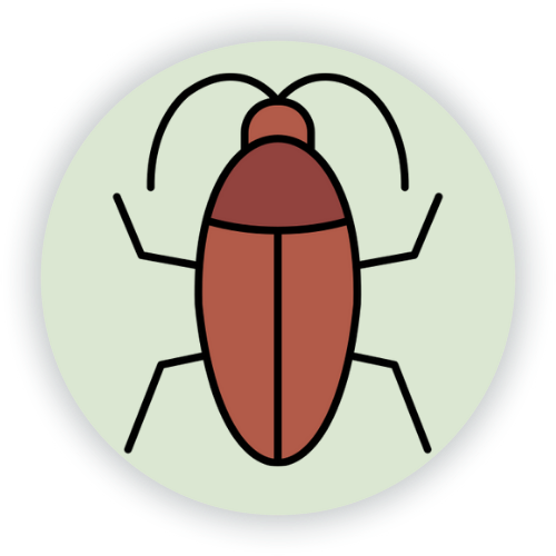 Home Cockroach Pest Control Services