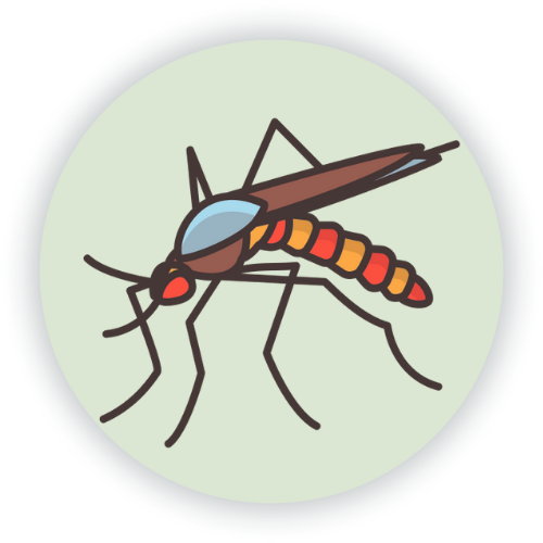 Home mosquitoes Pest Control Services