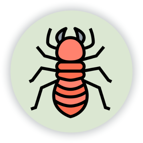 Home Termite Pest Control Services