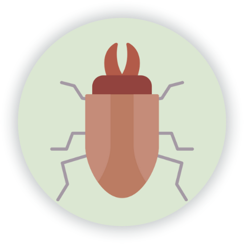 Home pcs woodborer gbg