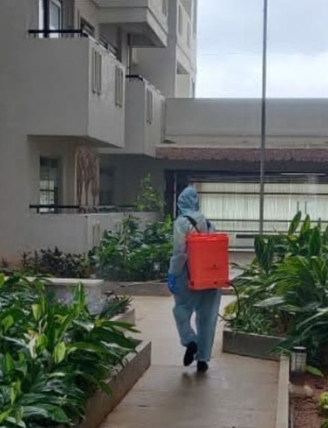 Mosquitoes Control Bangalore mosquitoes control