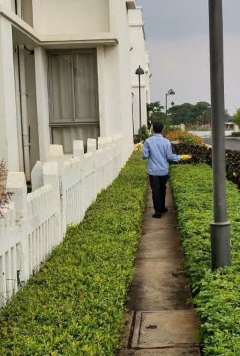 general pest treatment